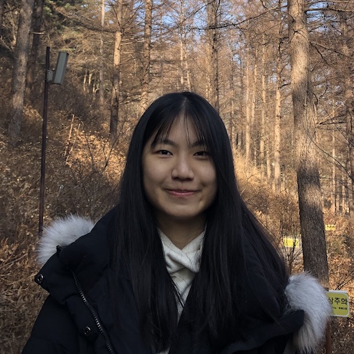 Hong Ai Ling